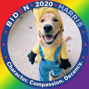 Meet your Posher, Frank